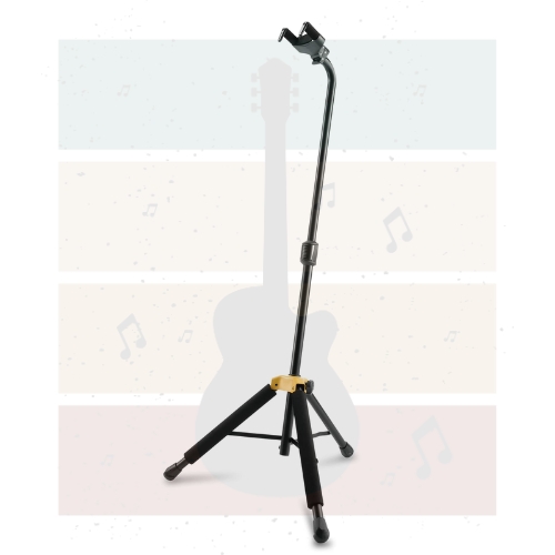 Guitar Cases and Stands